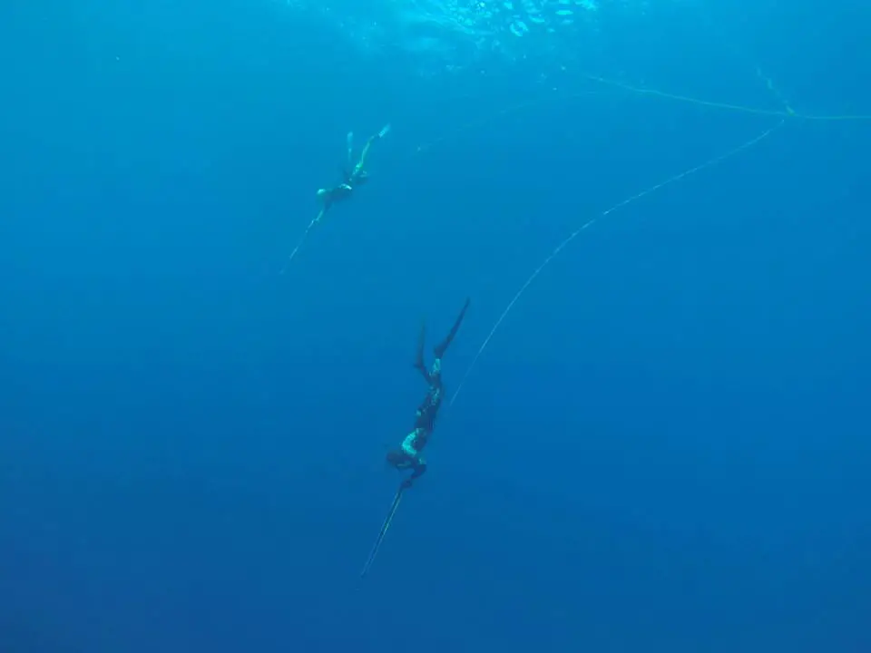 spearfishing maldives